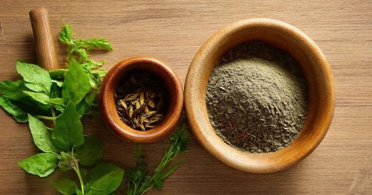 Chitrakaharitaki — Ayurvedic Herb