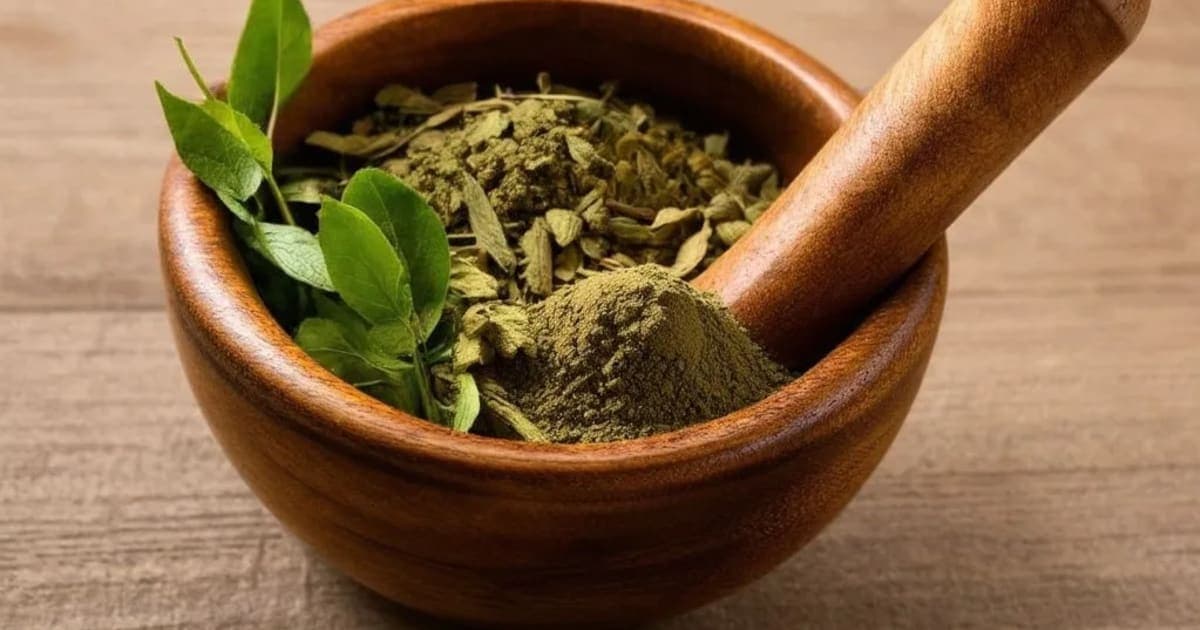 Kalajaji — Ayurvedic Herb