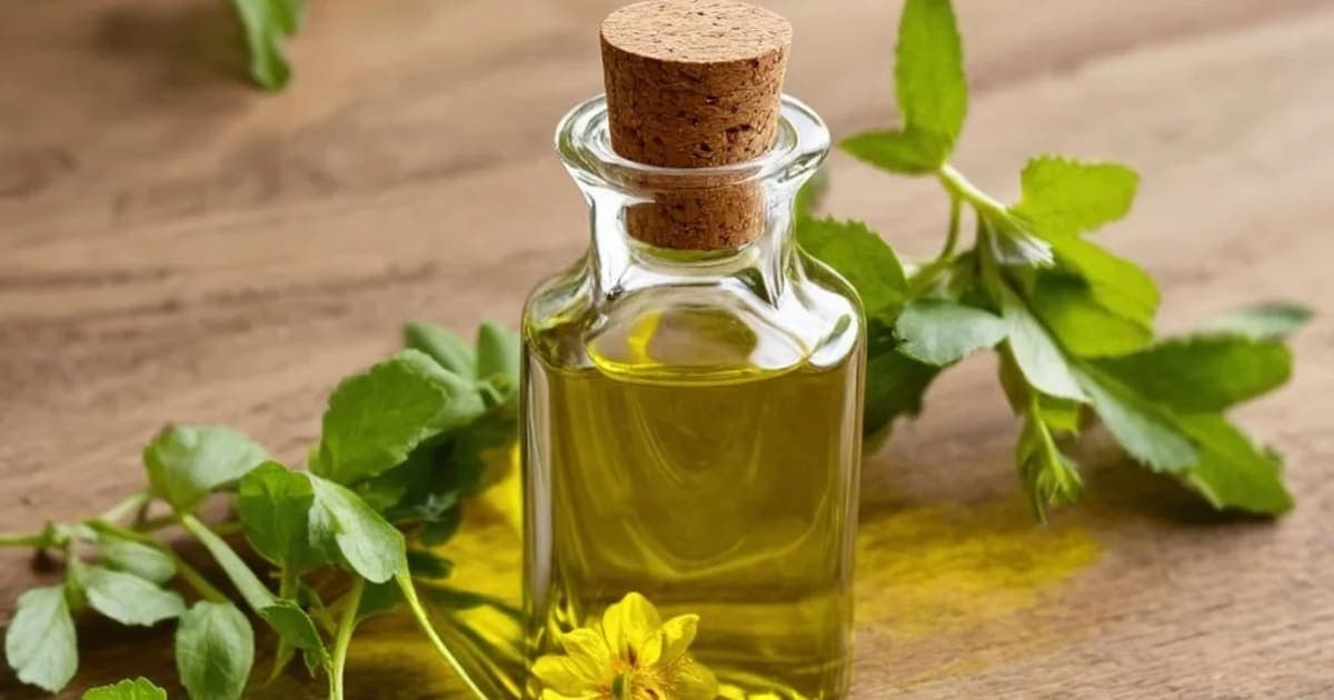 Eranda Taila — Ayurvedic Herb