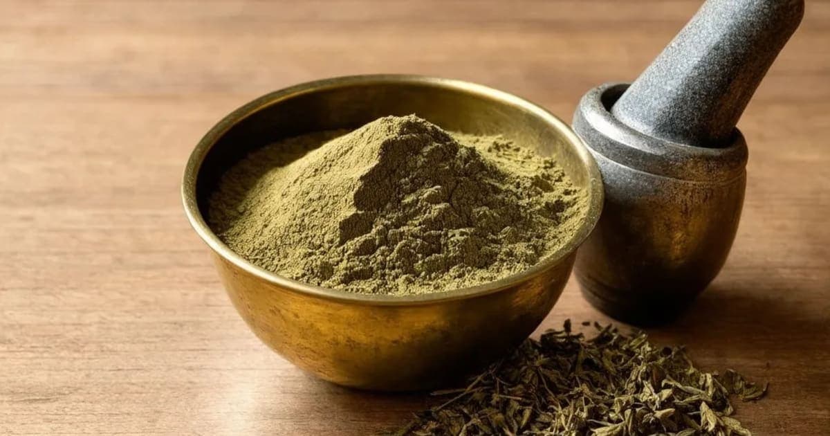 Hajrul Yahood Bhasma — Ayurvedic Herb