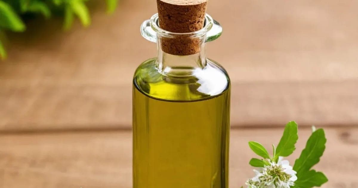 Kumkumadi Thailam — Ayurvedic Herb