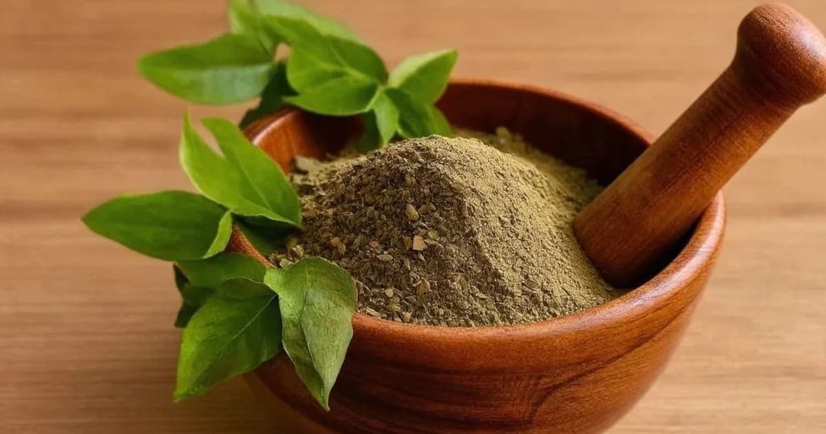 Madayantika (Henna) — Ayurvedic Herb