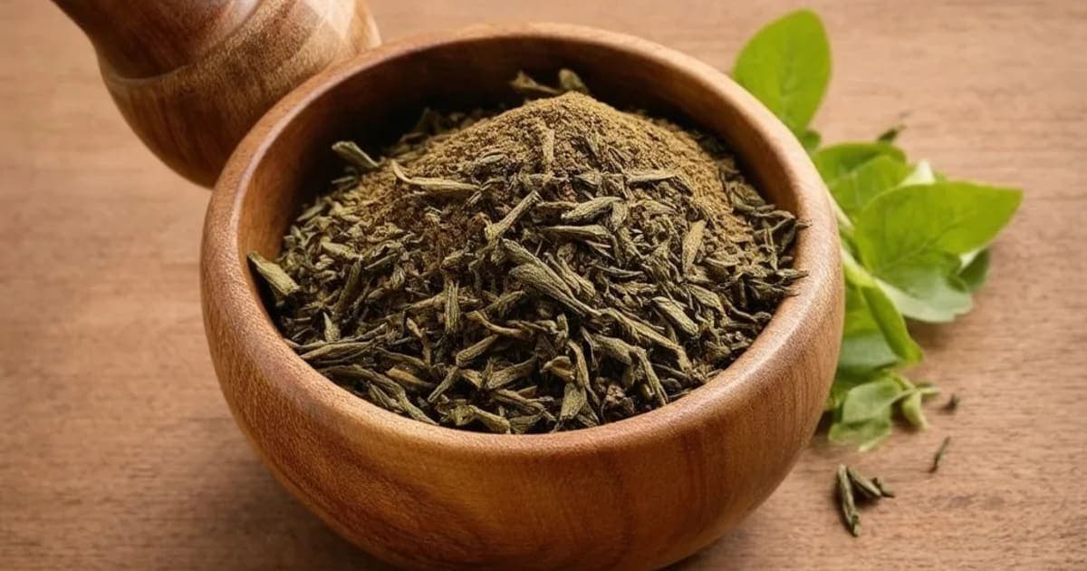 Priyala (Chironji) — Ayurvedic Herb