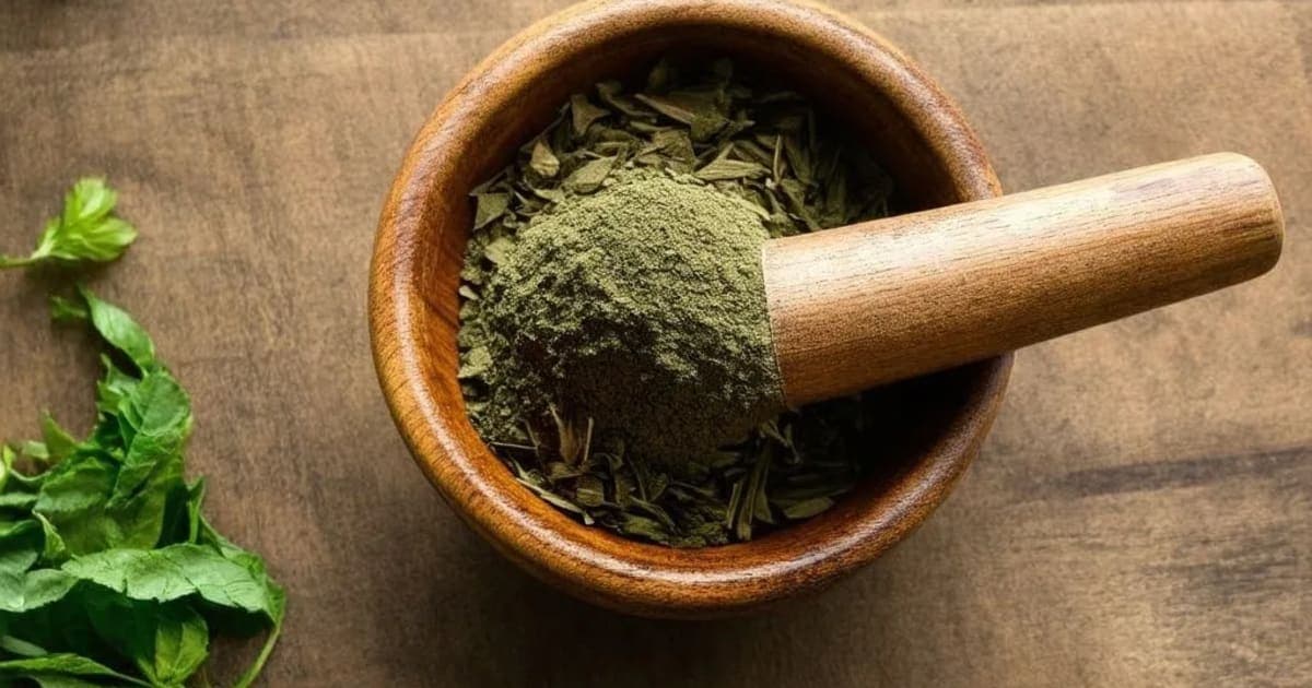 Vasa — Ayurvedic Herb