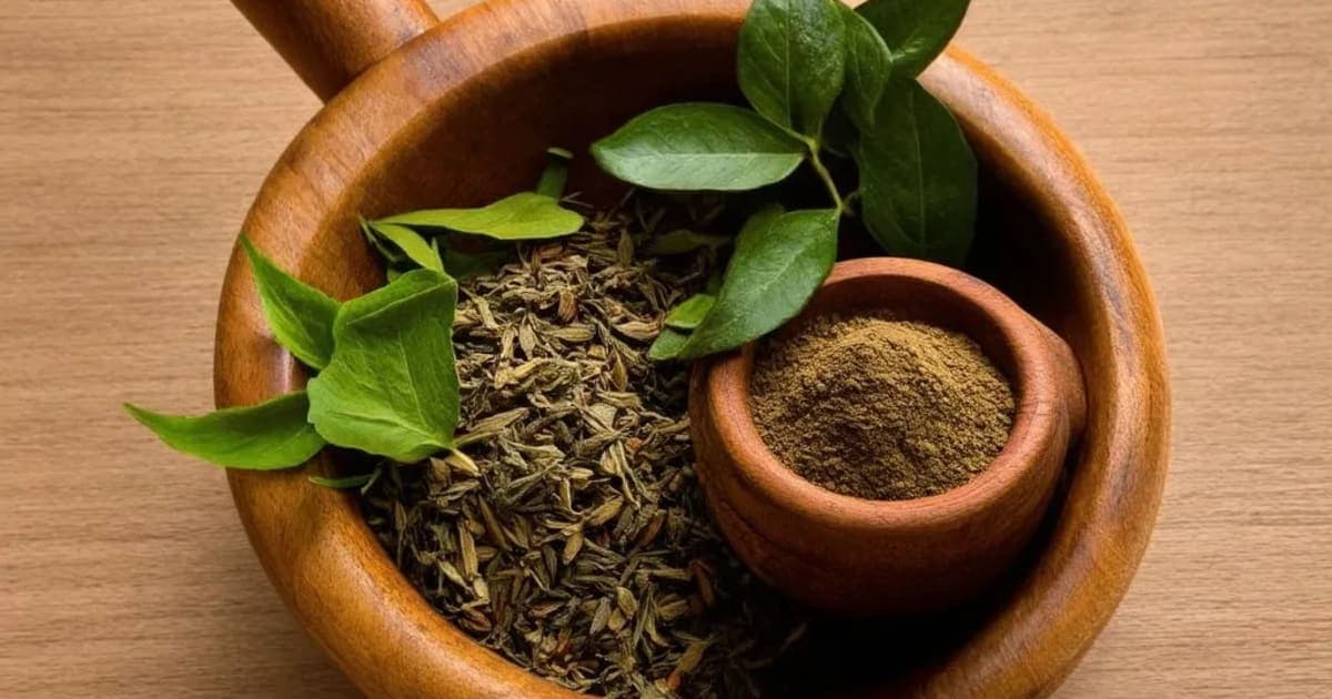 Tila Patra — Ayurvedic Herb