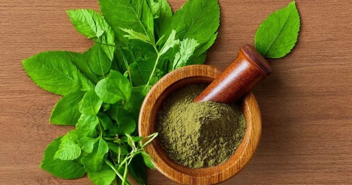 Kharbhuja (Muskmelon) — Ayurvedic Herb