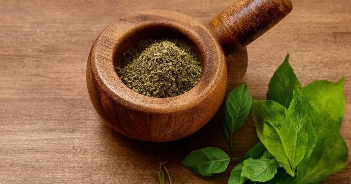 સિંહમૂળીના ફાયદા — આયુર્વેદિક જડીબુટ્ટી