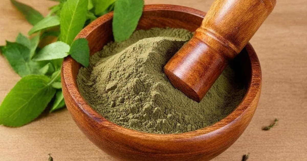 ಅಂಬಸ್ಥಕಿ (ಮೊಗ್ಗಿನ ಹೂ) — ಆಯುರ್ವೇದ ಮೂಲಿಕೆ