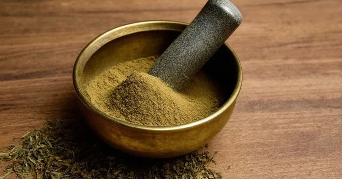 हजरूल याहूद भस्म — आयुर्वेदिक वनस्पती