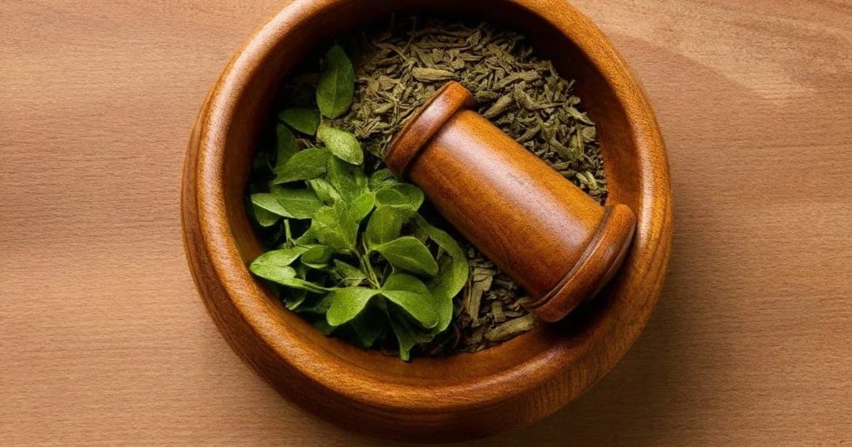 ശങ്കിനി — ആയുർവേദ ഔഷധം