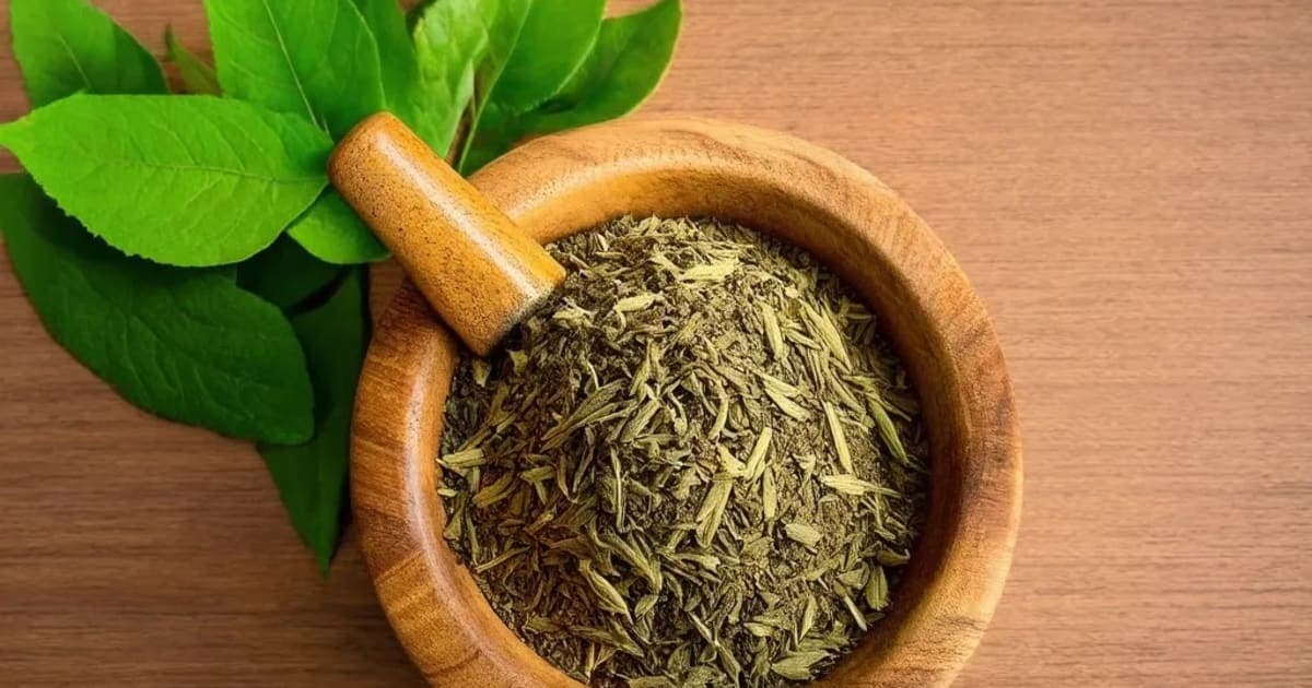 ਖਰਬੂਜੇ ਦੇ ਫਾਇਦੇ — ਆਯੁਰਵੈਦਿਕ ਜੜੀ-ਬੂਟੀ