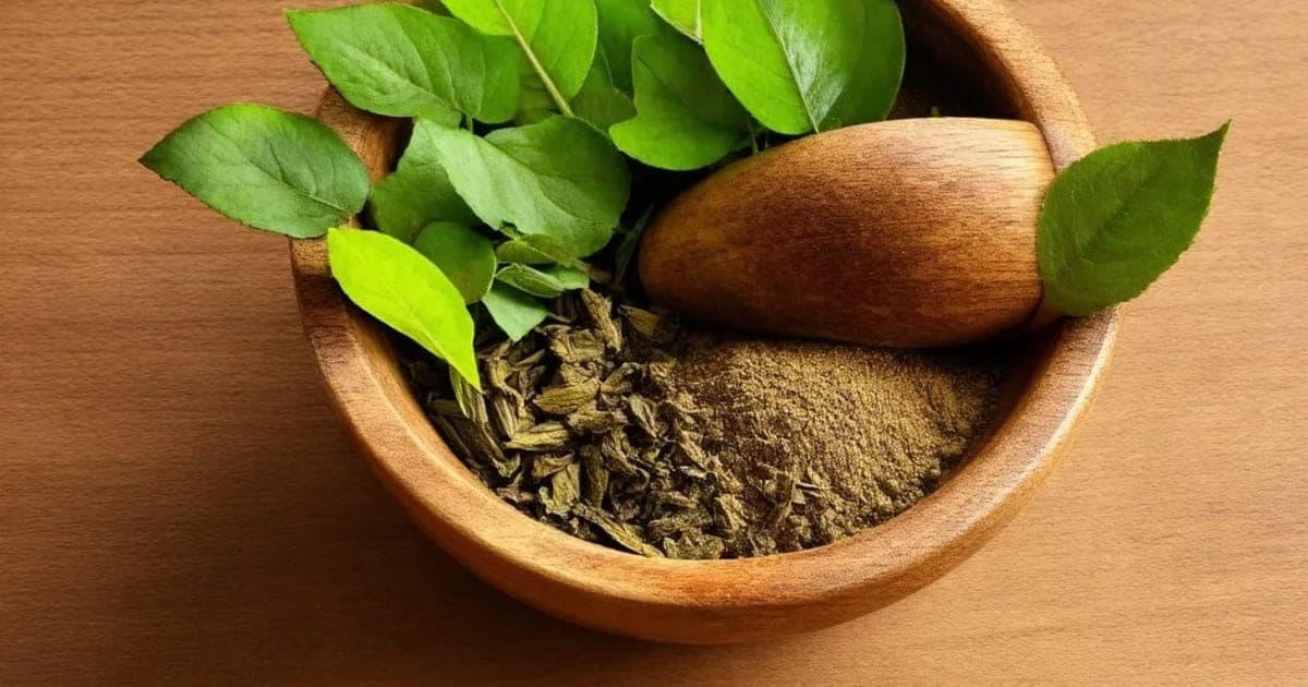 جامبو (جامن) کے فوائد — آیورویدک جڑی بوٹی