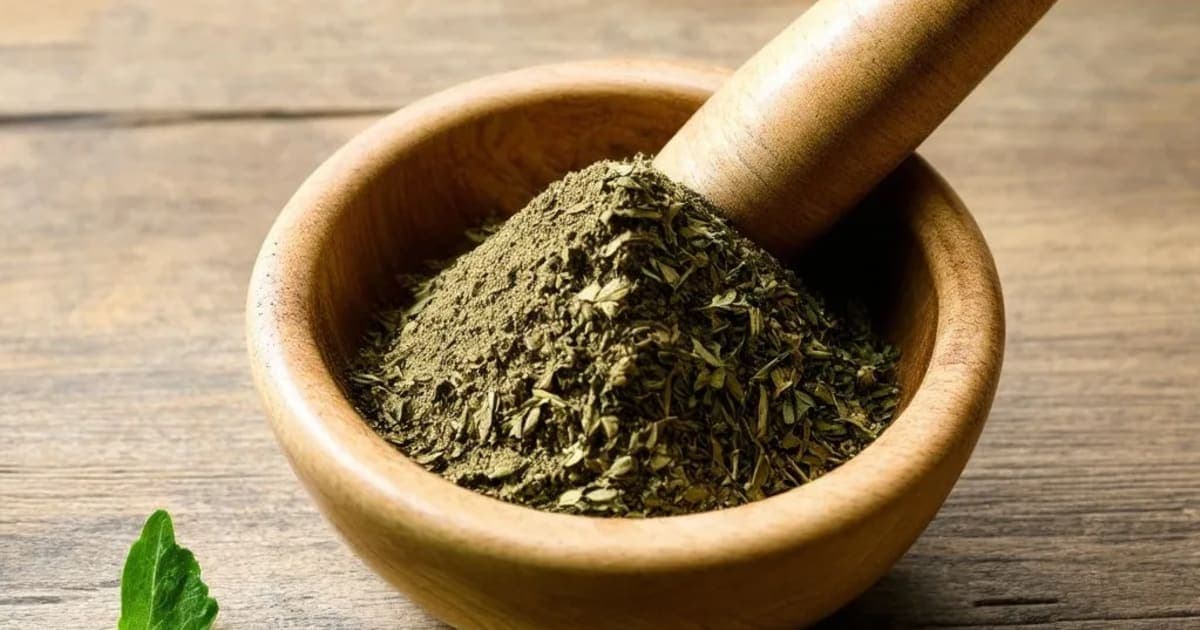 કહરૂબા પિષ્ટી — આયુર્વેદિક જડીબુટ્ટી