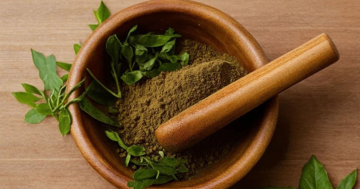 ਕਾਂਕੋਲਾ ਦੇ ਫਾਇਦੇ — ਆਯੁਰਵੈਦਿਕ ਜੜੀ-ਬੂਟੀ