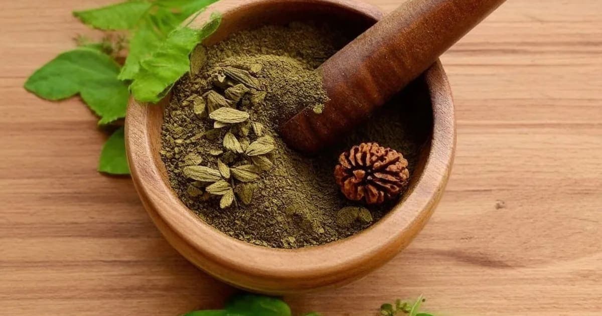 رودراکشا کے فائدے — آیورویدک جڑی بوٹی