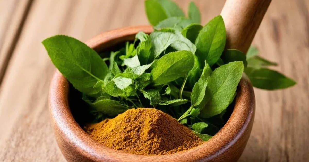 کمل کیسر (Lotus Stamen) — آیورویدک جڑی بوٹی