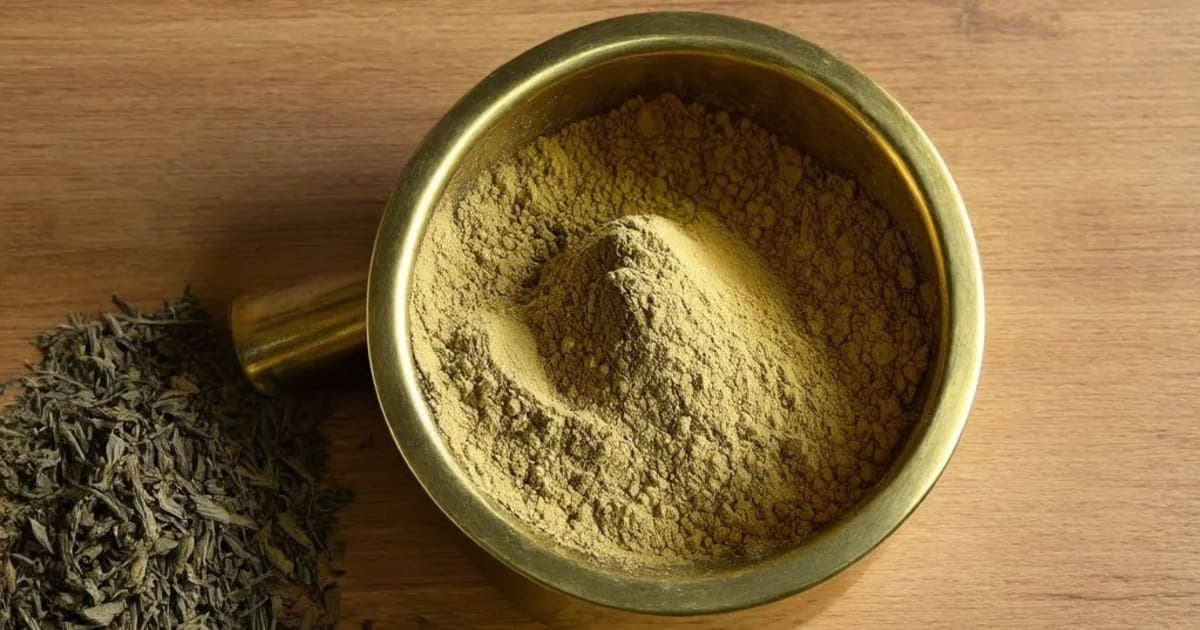 ಶಂಖ ಭಾಸ್ಮ — ಆಯುರ್ವೇದ ಮೂಲಿಕೆ