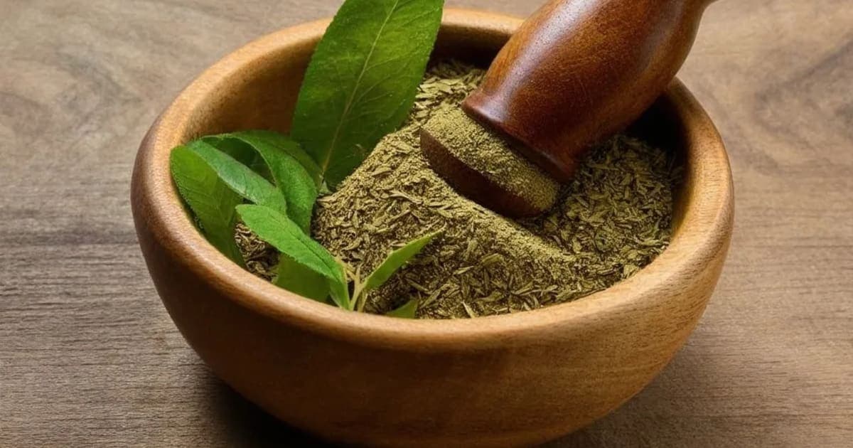 ಸಿಗ್ರು ಪತ್ರ (ಸಜ್ಜೆ ಎಲೆ) — ಆಯುರ್ವೇದ ಮೂಲಿಕೆ