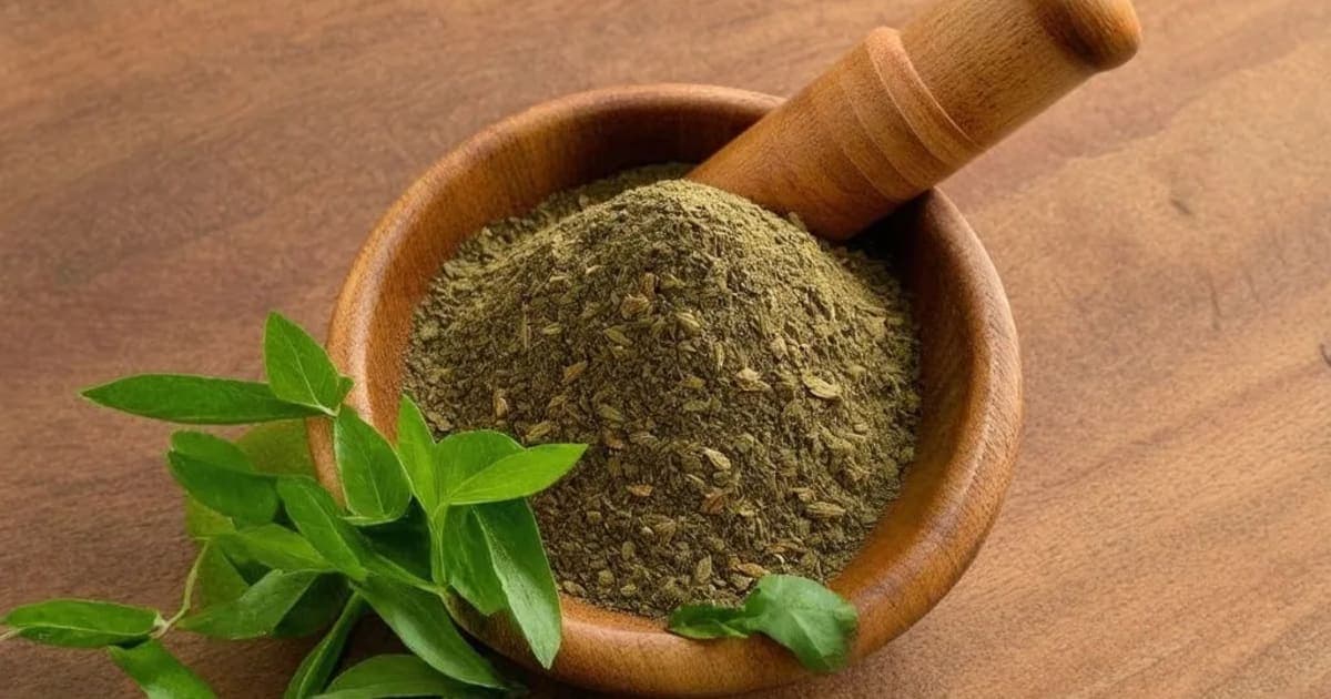 Pippali Moola — Ayurvedic Herb