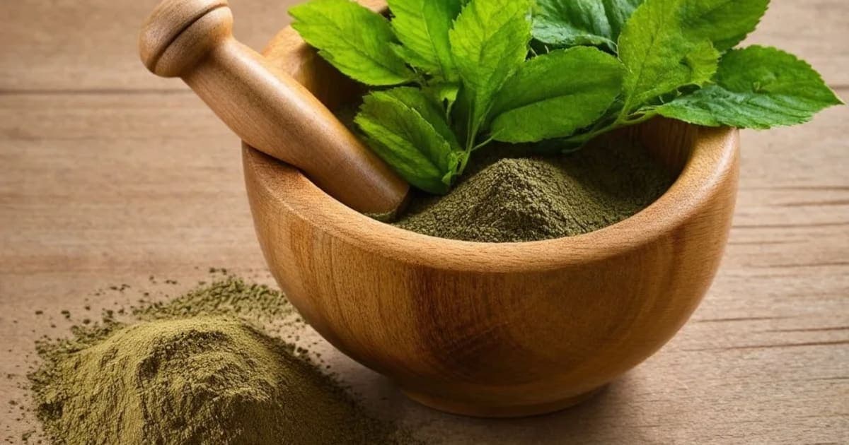 Rasamanikya — Ayurvedic Herb