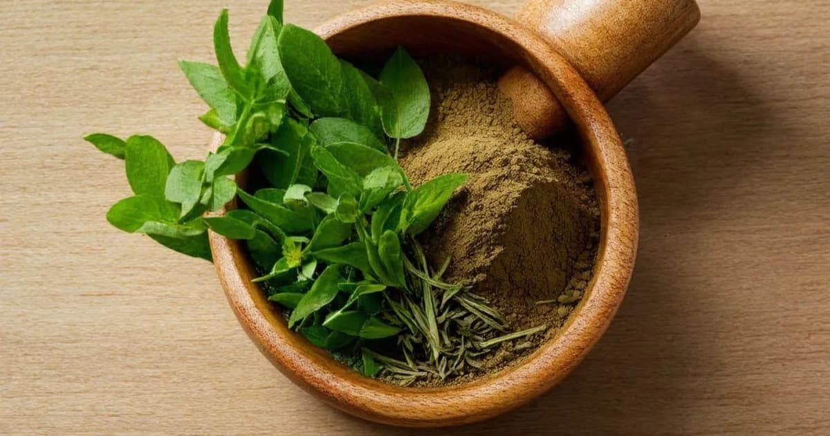 Mukta Pishti — Ayurvedic Herb