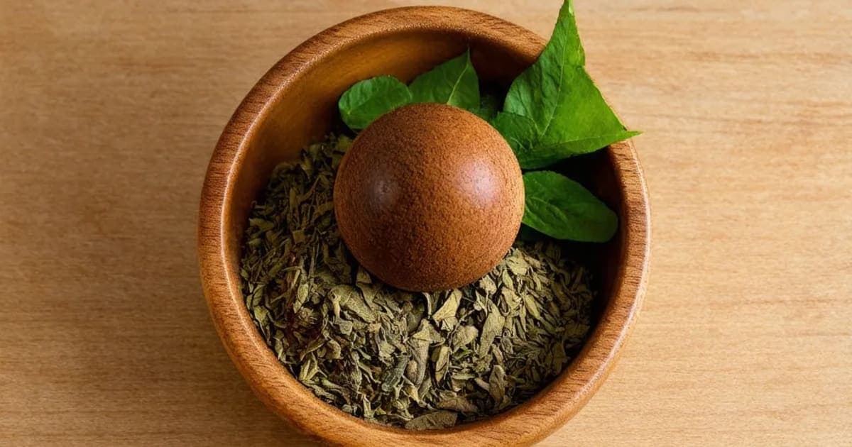 Kataka (Clearing Nut) — Ayurvedic Herb