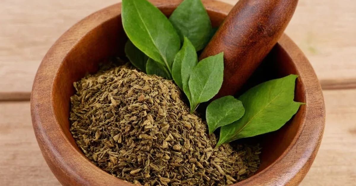 Himasagara Thailam — Ayurvedic Herb