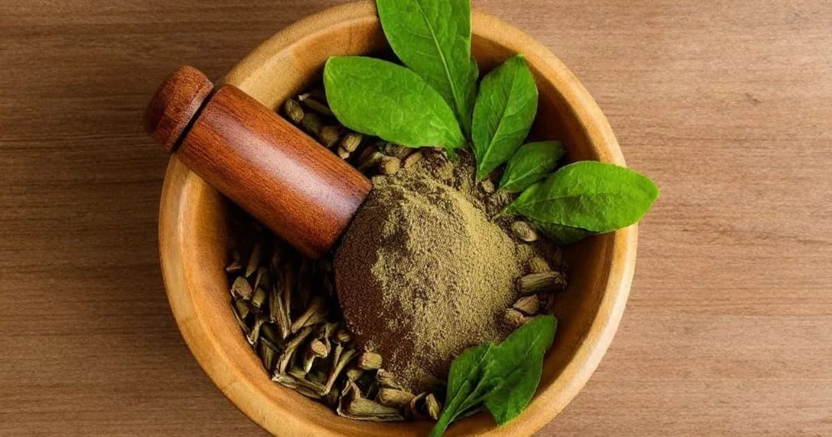 Kadamba — Ayurvedic Herb