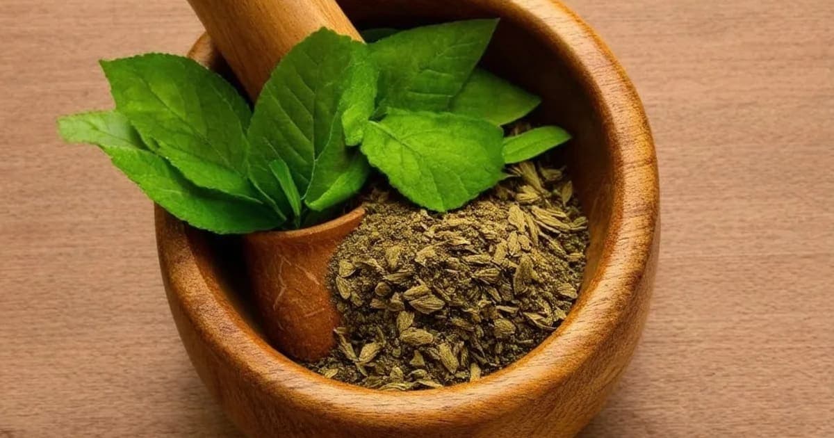 Kokilaksha — Ayurvedic Herb