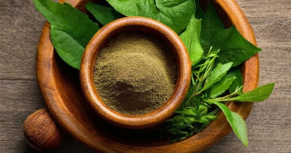 Agnijara — Ayurvedic Herb