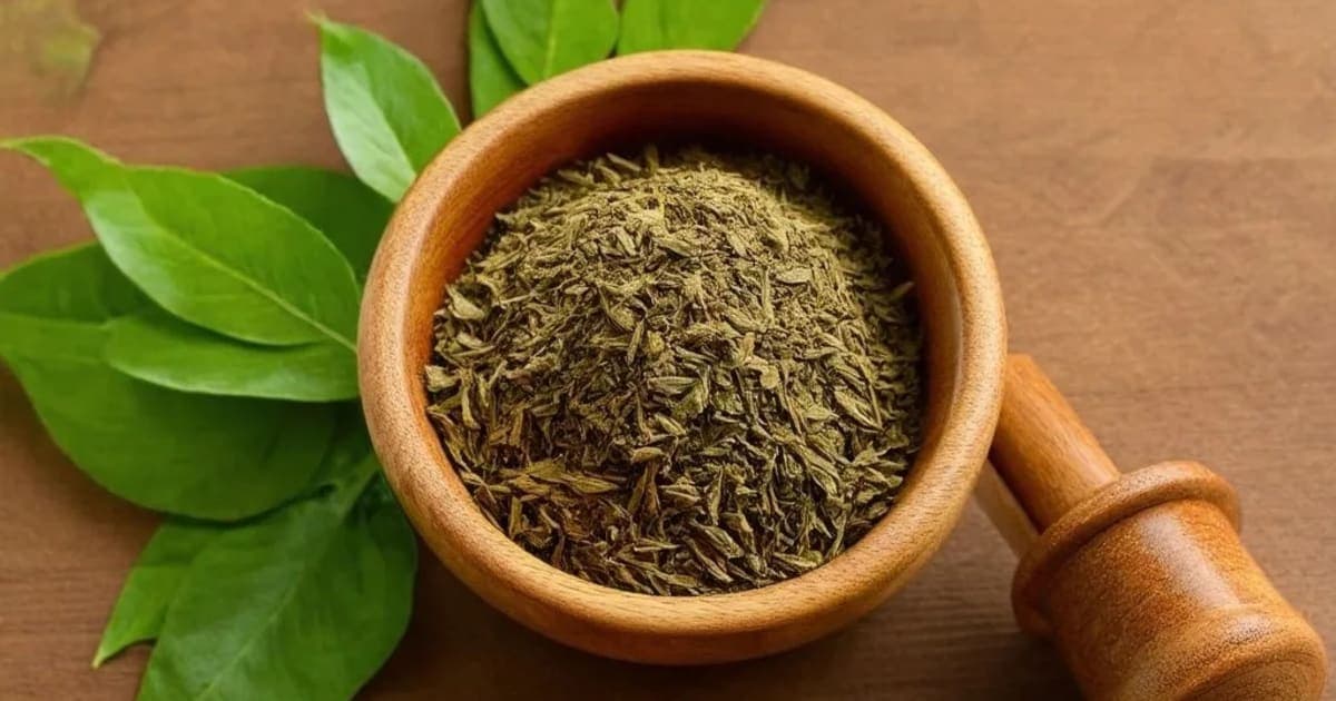 Lakshadi Thailam — Ayurvedic Herb