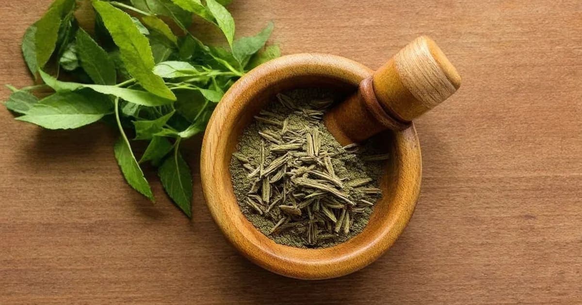 Kasturi — Ayurvedic Herb