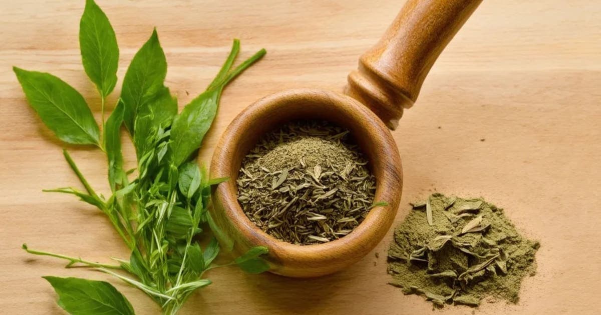 Aparajita — Ayurvedic Herb