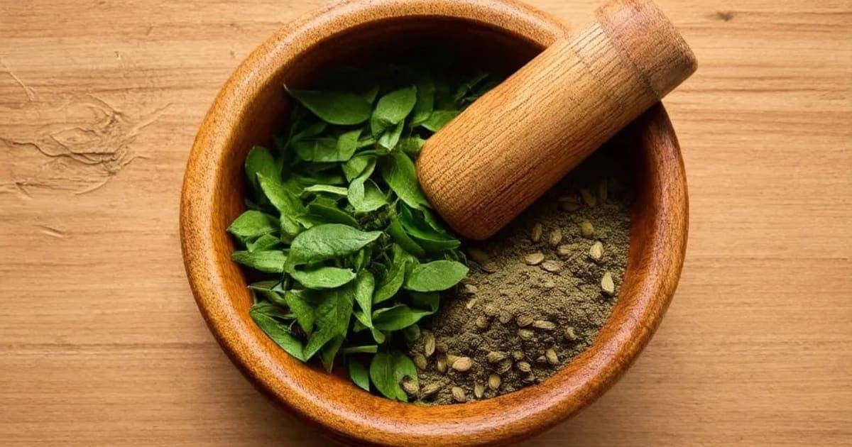 Amra Beeja — Ayurvedic Herb