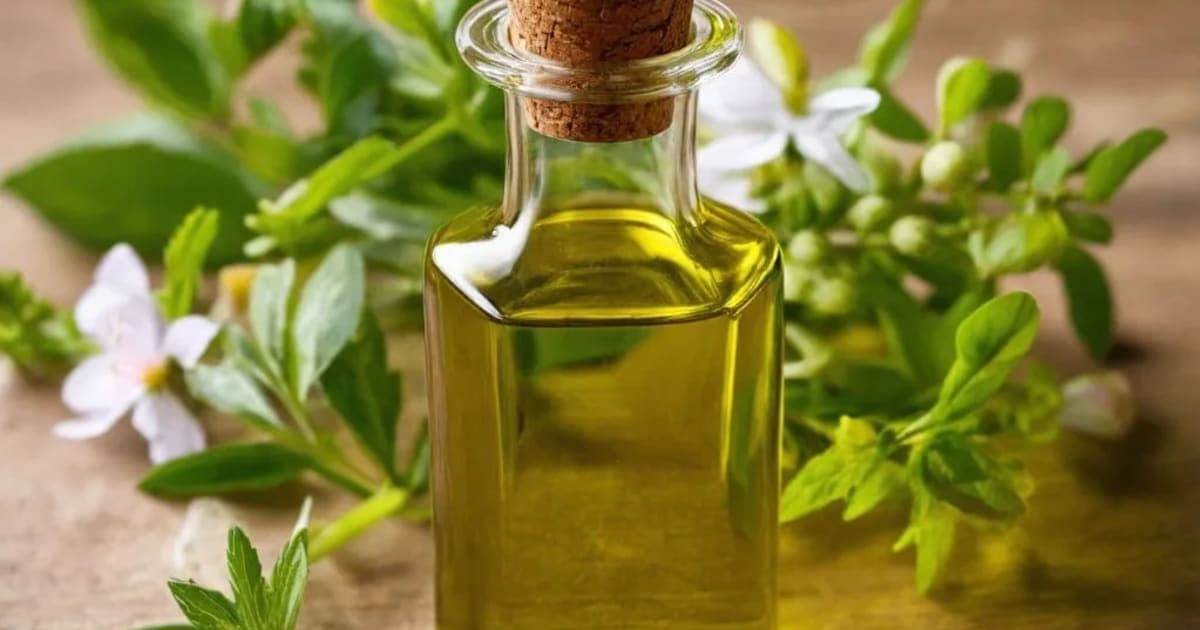 Nimba Taila — Ayurvedic Herb