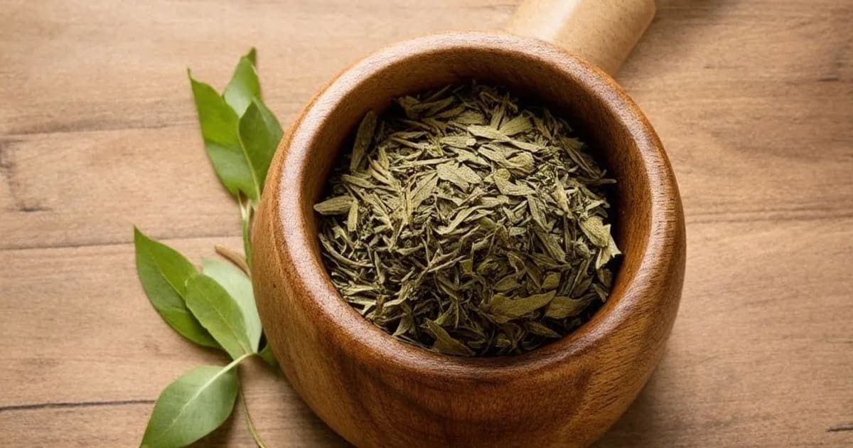 Kharjura — Ayurvedic Herb