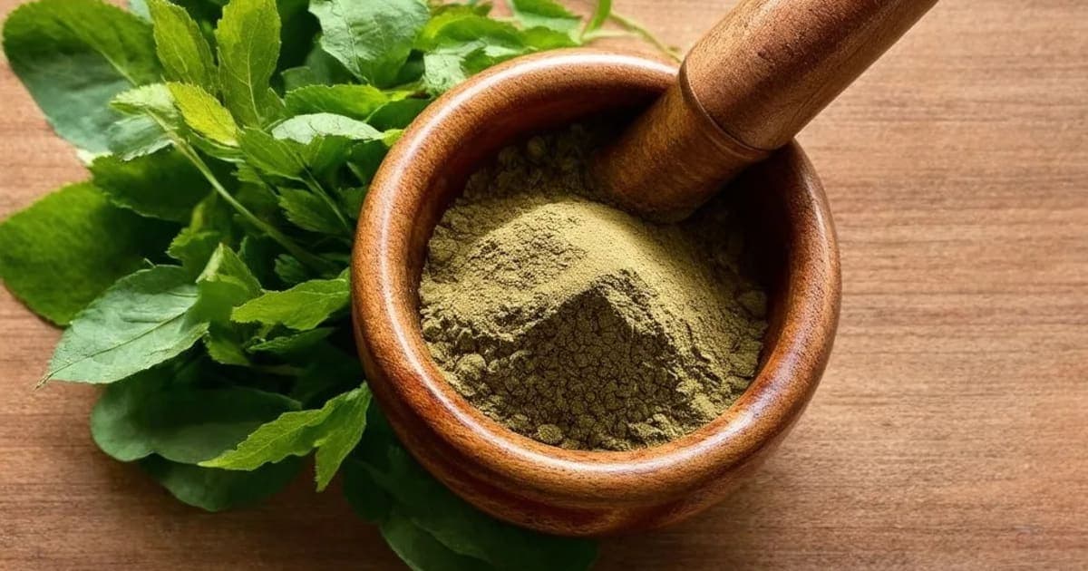 Gorakhmundi — Ayurvedic Herb