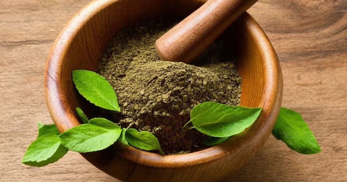 Taruni (Rose) — Ayurvedic Herb