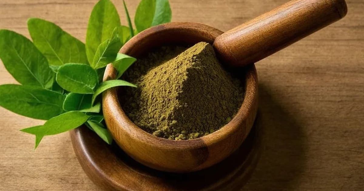 Japa (Hibiscus) — Ayurvedic Herb