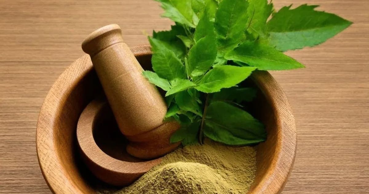 Sarja Resin — Ayurvedic Herb