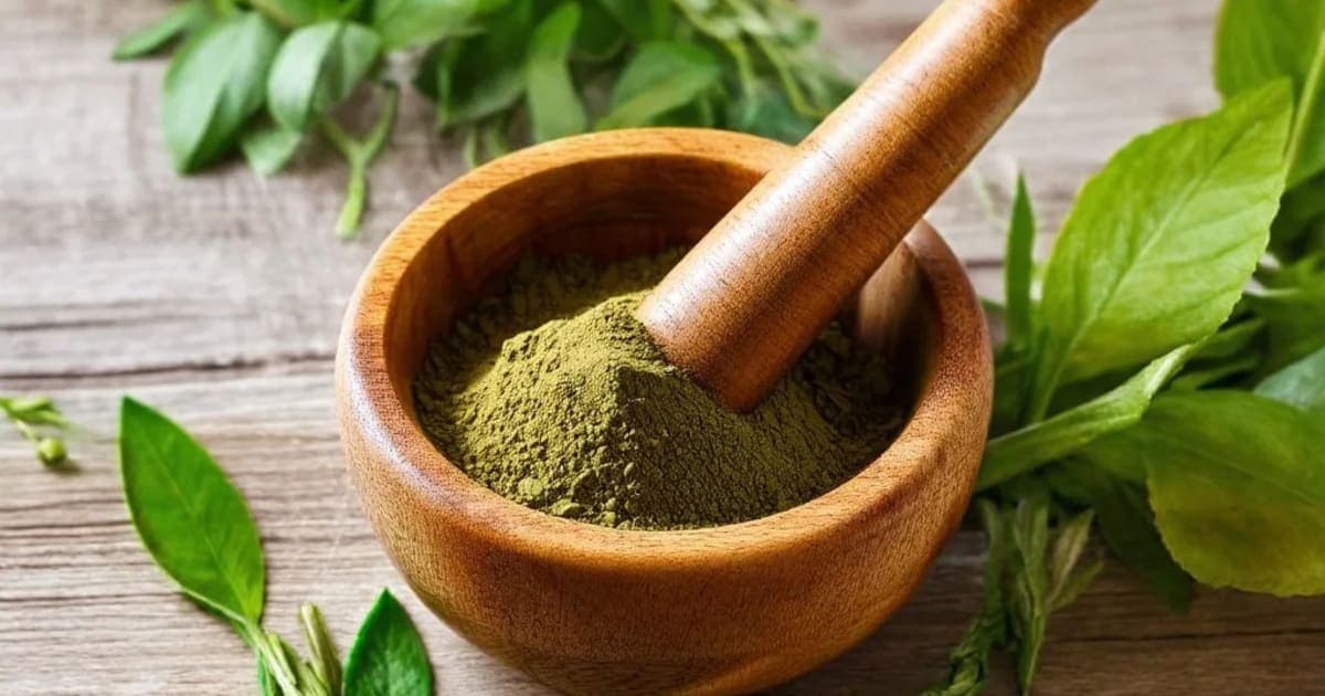 Amlaparni — Ayurvedic Herb