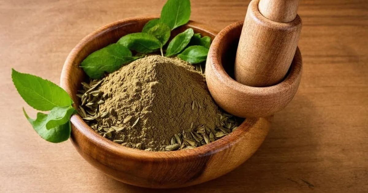 Prasarini — Ayurvedic Herb