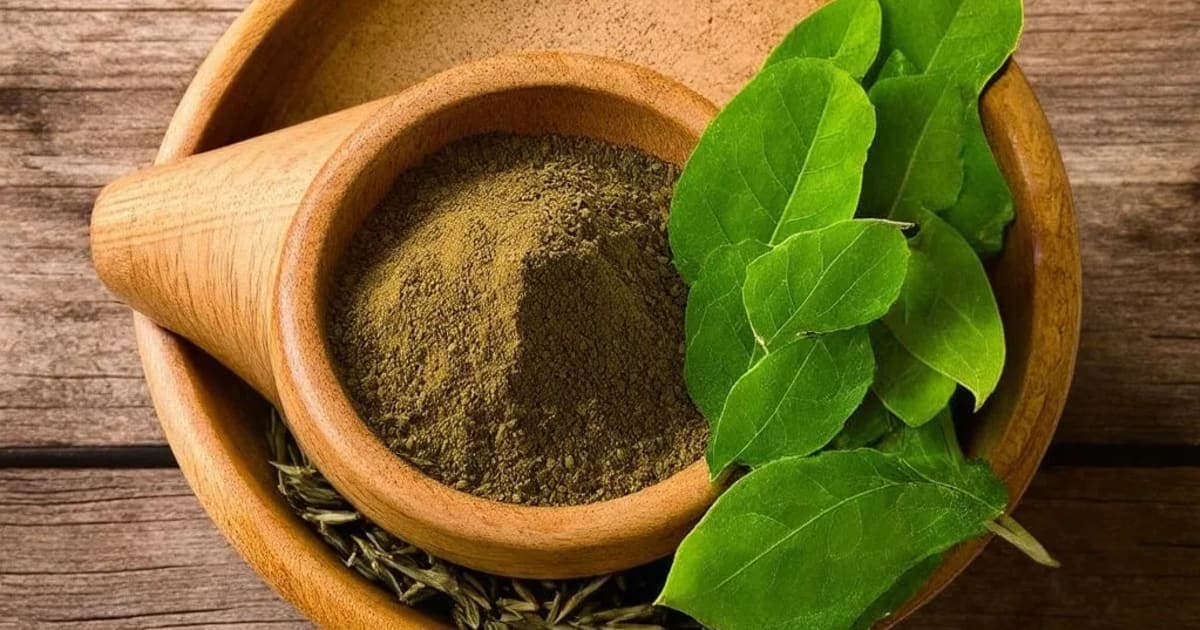 Mashaparni Benefits — Ayurvedic Herb