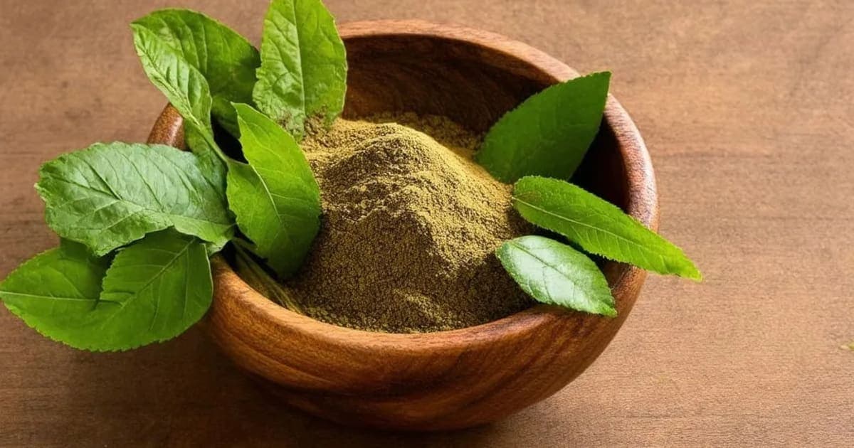 Mahatiktaka Ghrita — Ayurvedic Herb