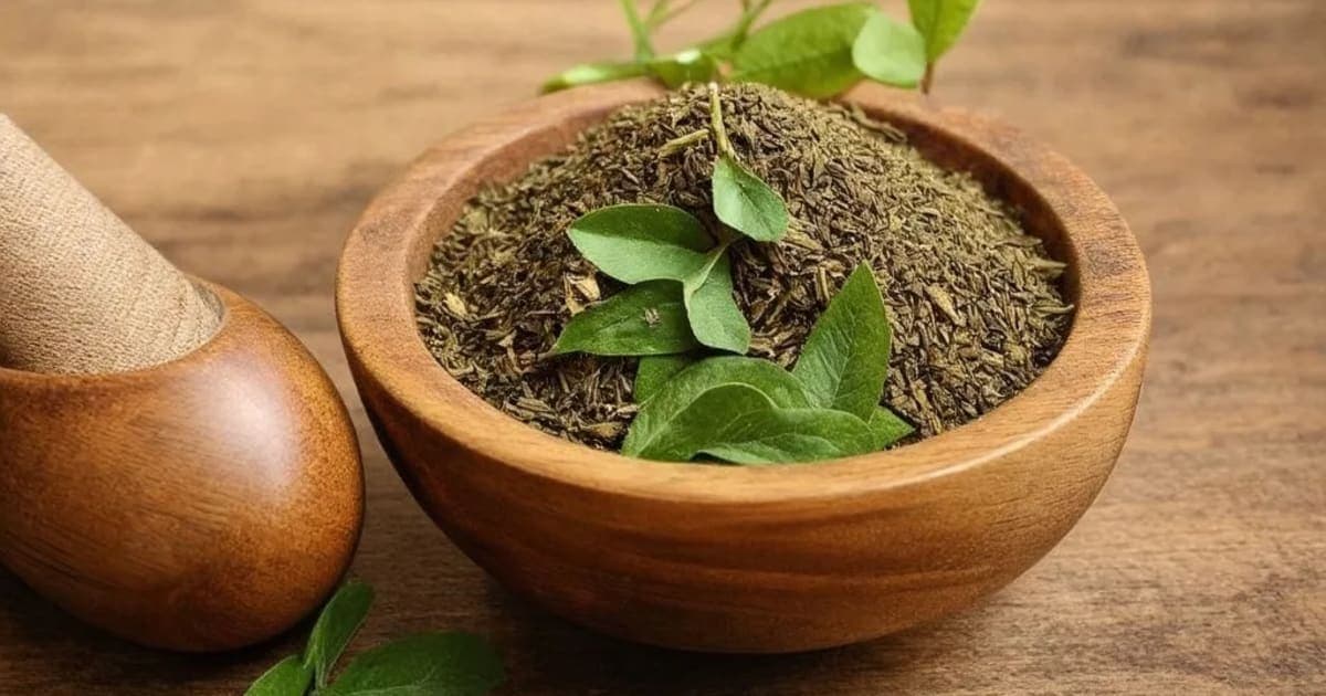 चित्रकहरिताकी — आयुर्वेदिक जड़ी-बूटी