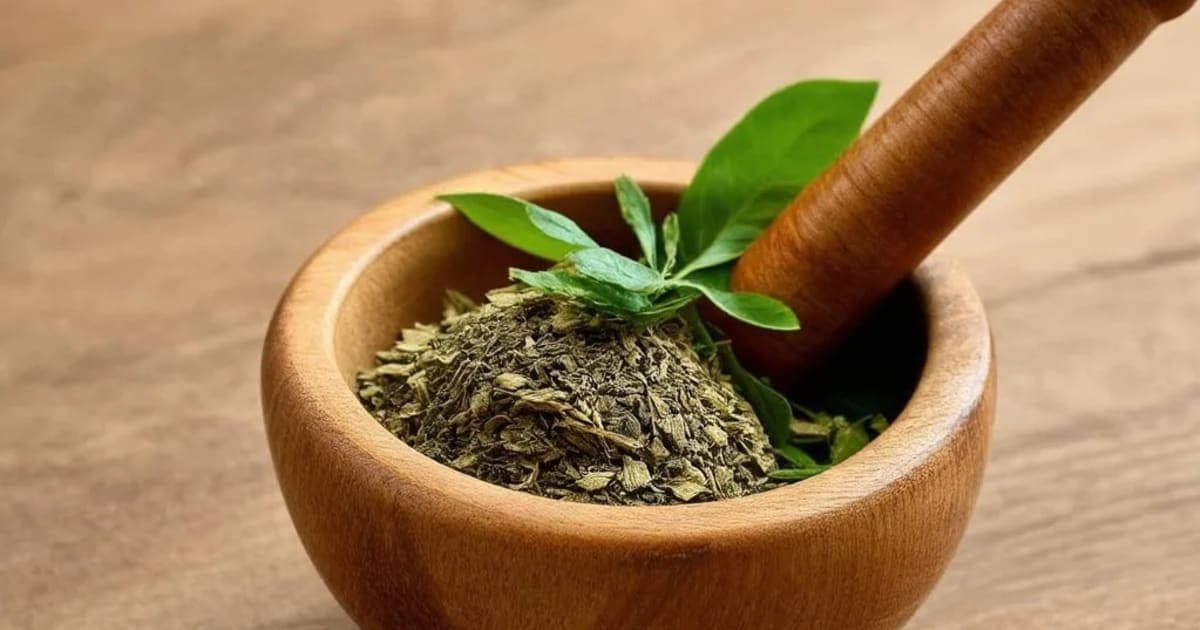 அசோக மரம் — ஆயுர்வேத மூலிகை