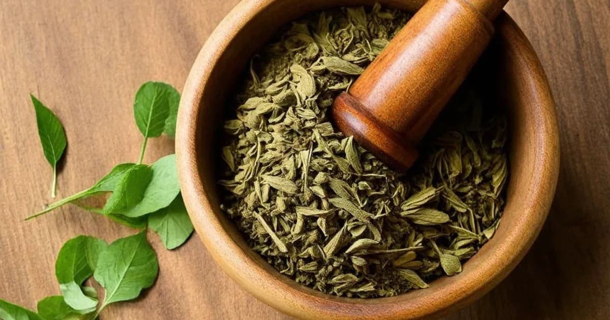 दाराहरिद्रा (इंडियन बारबेरी) — आयुर्वेदिक जड़ी-बूटी