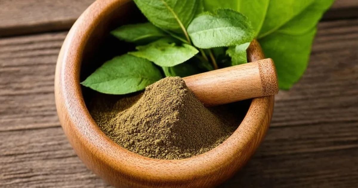 ಉಪೋದಿಕ (ಮಲಬಾರ್ ಸ್ಪಿನಾಚ್) — ಆಯುರ್ವೇದ ಮೂಲಿಕೆ