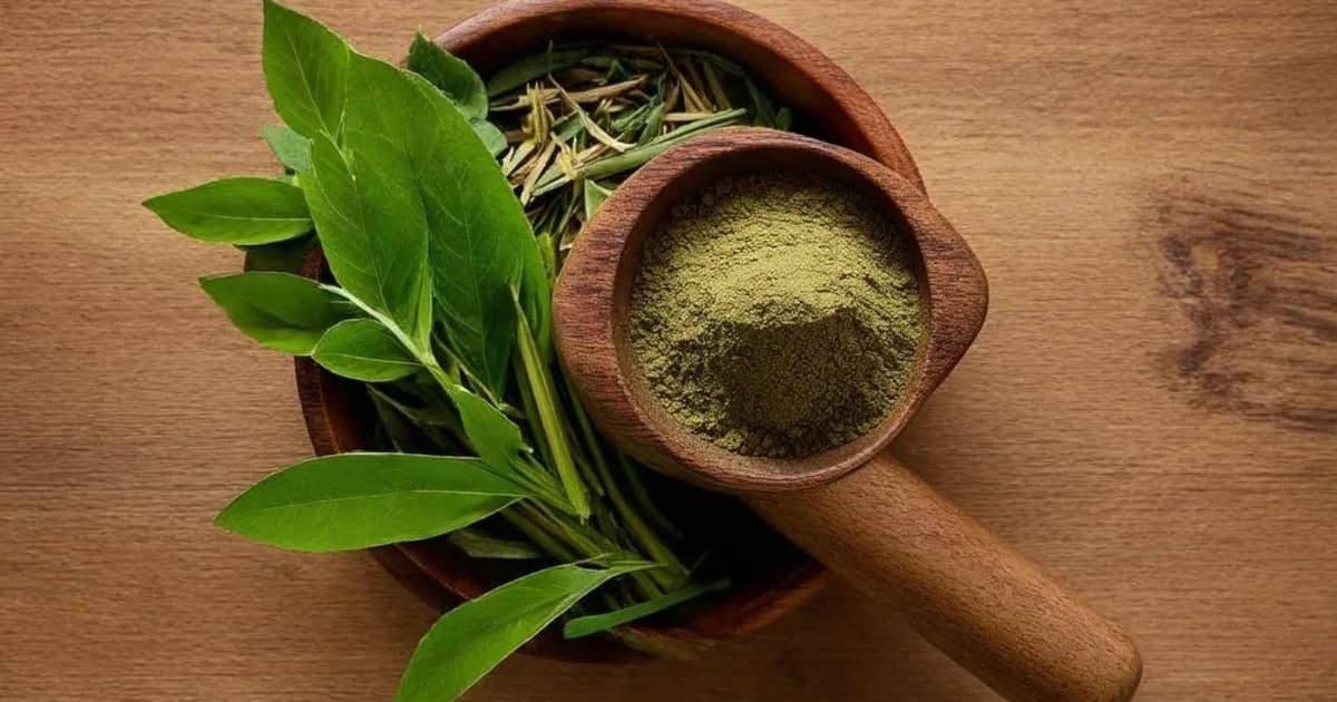 Gairika (Red Ochre) — आयुर्वेदिक जड़ी-बूटी