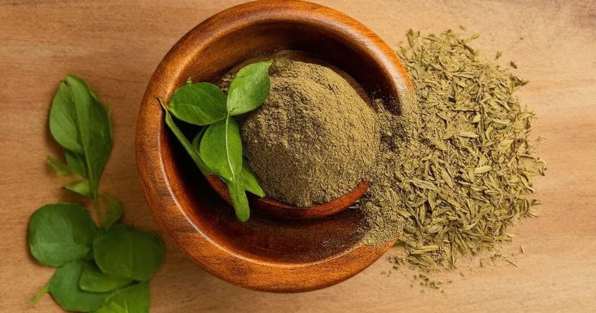 ಚಿರಾಯತು — ಆಯುರ್ವೇದ ಮೂಲಿಕೆ